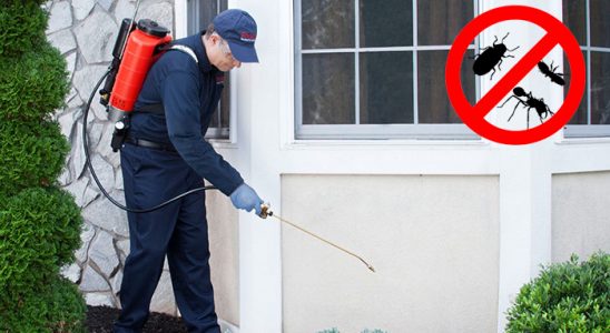 Araklı Fare İlaçlama böcek ilaçlama ve haşere kontrolü — ilaclama-tr.com